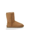 Womens Classic Short II By Ugg(r) -Shoe Promotion Store 1016223CHE 1
