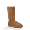 Womens Classic Tall II By Ugg(r) -Shoe Promotion Store 1016224CHE 7