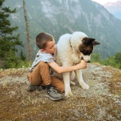 Kids Keen Targhee Low Wp C -Shoe Promotion Store 1024009 91 081022170745