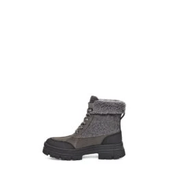 Women's Ugg(r) Ashton Addie Tipped 12 Women's Ugg(r) Ashton Addie Tipped -Shoe Promotion Store 1143858CHRC 3 070523210215